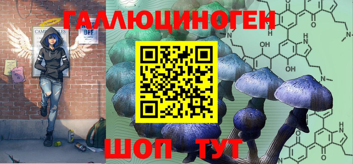 Псилоцибиновые грибы Psilocybe Свободный